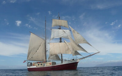 Wie du dein Ziel erreichen kannst